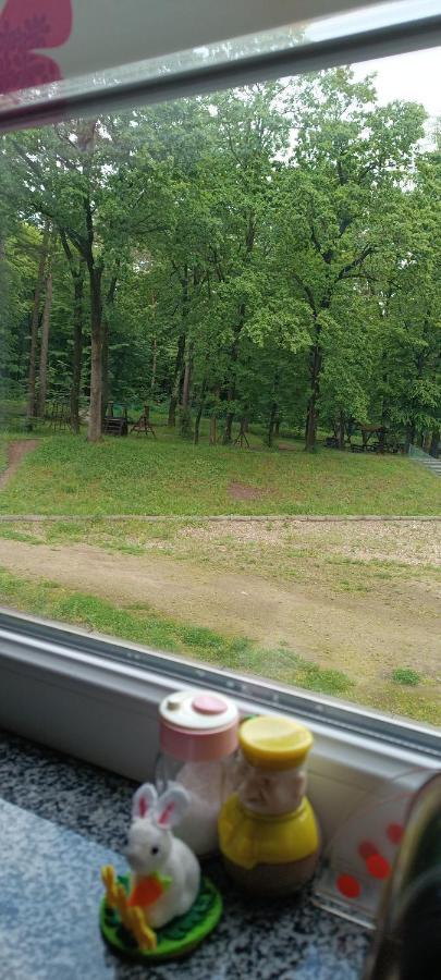 Апартаменти Truszkavec Kültér fotó